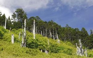 苗栗丘陵 苗栗丘陵