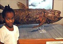 葛摩海是寇拉侃茲魚(coelacanth)的棲身處