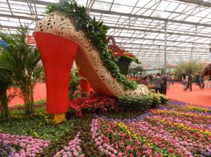 青州花卉博覽會