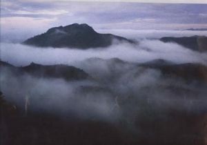 贛江源自然保護區