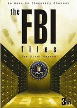 《FBI檔案》