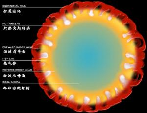 超新星1987A內部結構