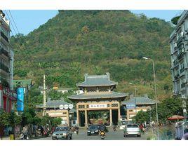 柳林風景區 柳林風景區