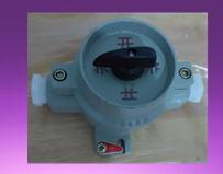 防爆照明開關 防爆照明開關