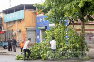 4&middot;13菏澤冰雹