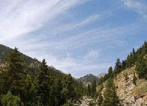 哈里哈圖國家森林公園