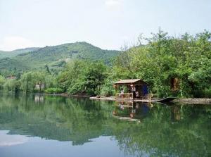 雙溪竹海 雙溪竹海