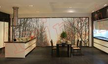 意瑪&middot;阿西尼整體家居圖片