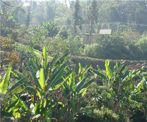 下英鳥村 下英鳥村