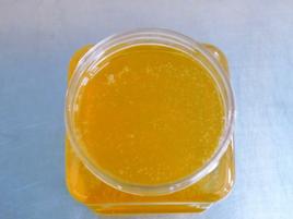 虎林椴樹蜜 虎林椴樹蜜