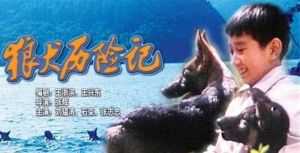 《狼犬歷險記》