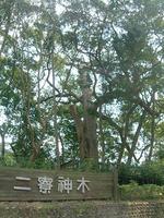 二寮神木 二寮神木