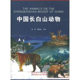 中國長白山動物 中國長白山動物