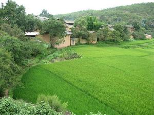 肖氏屯村 肖氏屯村