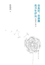 你真好，你就像我少年伊辰