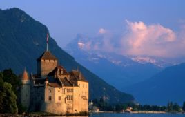 羊胚胎素 羊胚胎素