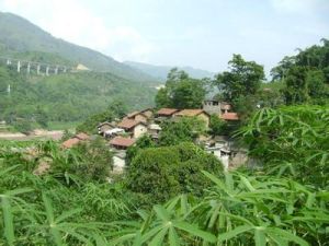 苦初邑村 苦初邑村