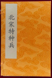 北宋特種兵 北宋特種兵