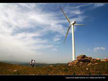 沿途風光（一）