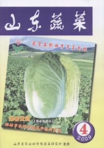 《山東蔬菜》