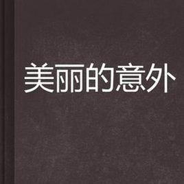 美麗的意外[同名小說]