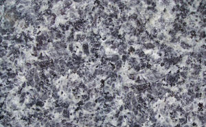 太平洋藍 太平洋藍