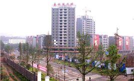 宜賓柏溪鎮 宜賓柏溪鎮