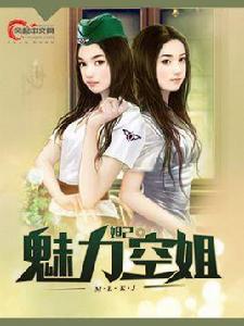 魅力空姐[風起中文網小說]