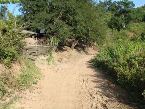 長梁子村 長梁子村