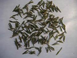 春雪[滁州市南譙區出產茶葉品種]