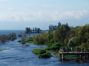 大理龍龕生態公園 大理龍龕生態公園