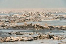 冰凌洪水 冰凌洪水