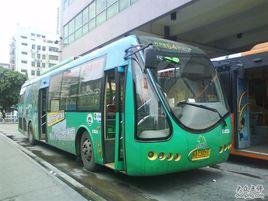 廣州公交541路 廣州公交541路