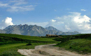 奇台荒漠草原保護區