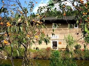 （圖）田螺坑村