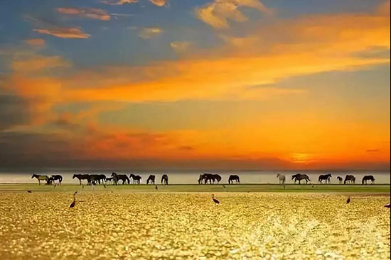 南疆是一種病,不去治不好;北疆是一種癮,去過戒不掉!