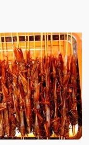 油炸螞蚱 油炸螞蚱