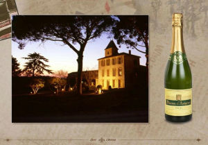 恆康天誠進口無醇起泡飲料