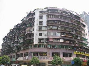 東曉花苑 東曉花苑