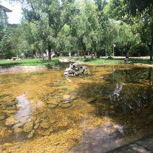 雲南大學旅遊文化學院