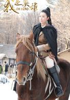 我是英雄[2014年謝銅執導電視劇]