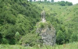 靈龜負書 靈龜負書