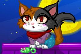 可愛小花貓 可愛小花貓