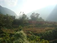 七咪秋村 七咪秋村