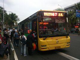 海口公交67路 海口公交67路