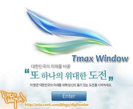 tmax window