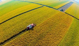 全國農村經濟發展“十三五”規劃