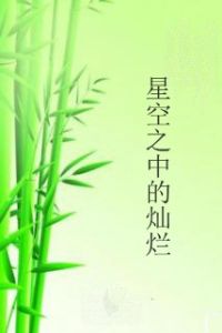 星空之中的燦爛 星空之中的燦爛