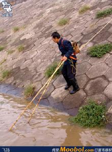 電捕魚法 電捕魚法