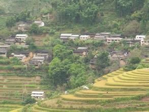 竹嶺崗自然村 竹嶺崗自然村